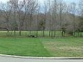 Before_and_After-urenovation-600