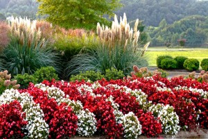 Cookeville TN Landscaping-2