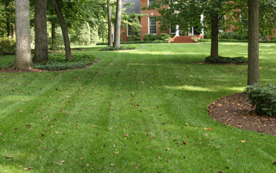 Excellent Lawn Company | Commercial Landscape Maintenance Cookeville