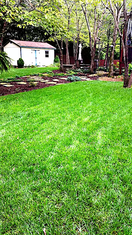 Lawn Care Landscaping Company